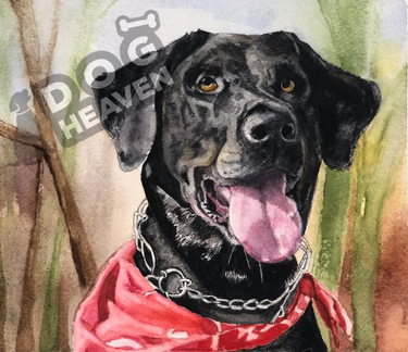 Dog Heaven™ Pet Portraits